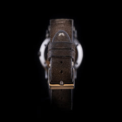 Omega Constellation (1960’s)