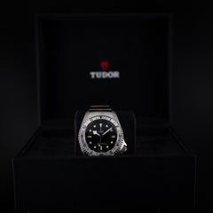 Tudor black bay P01